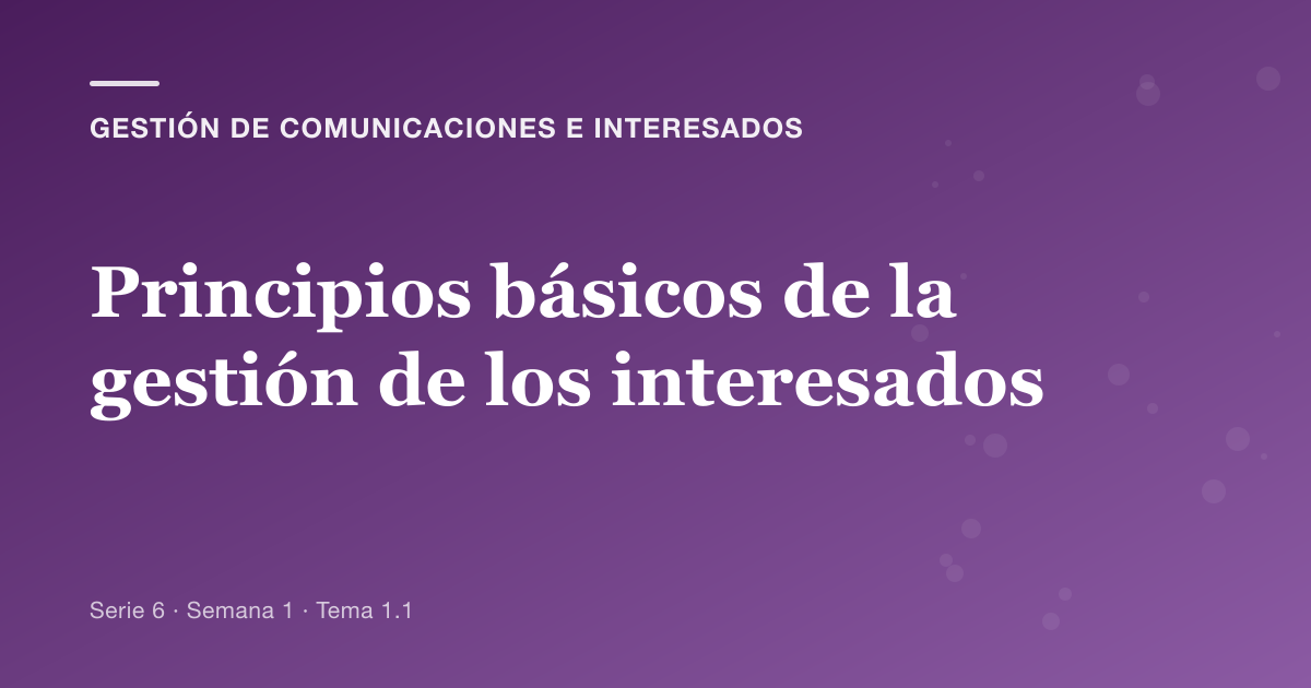 Principios básicos de la gestión de los interesados